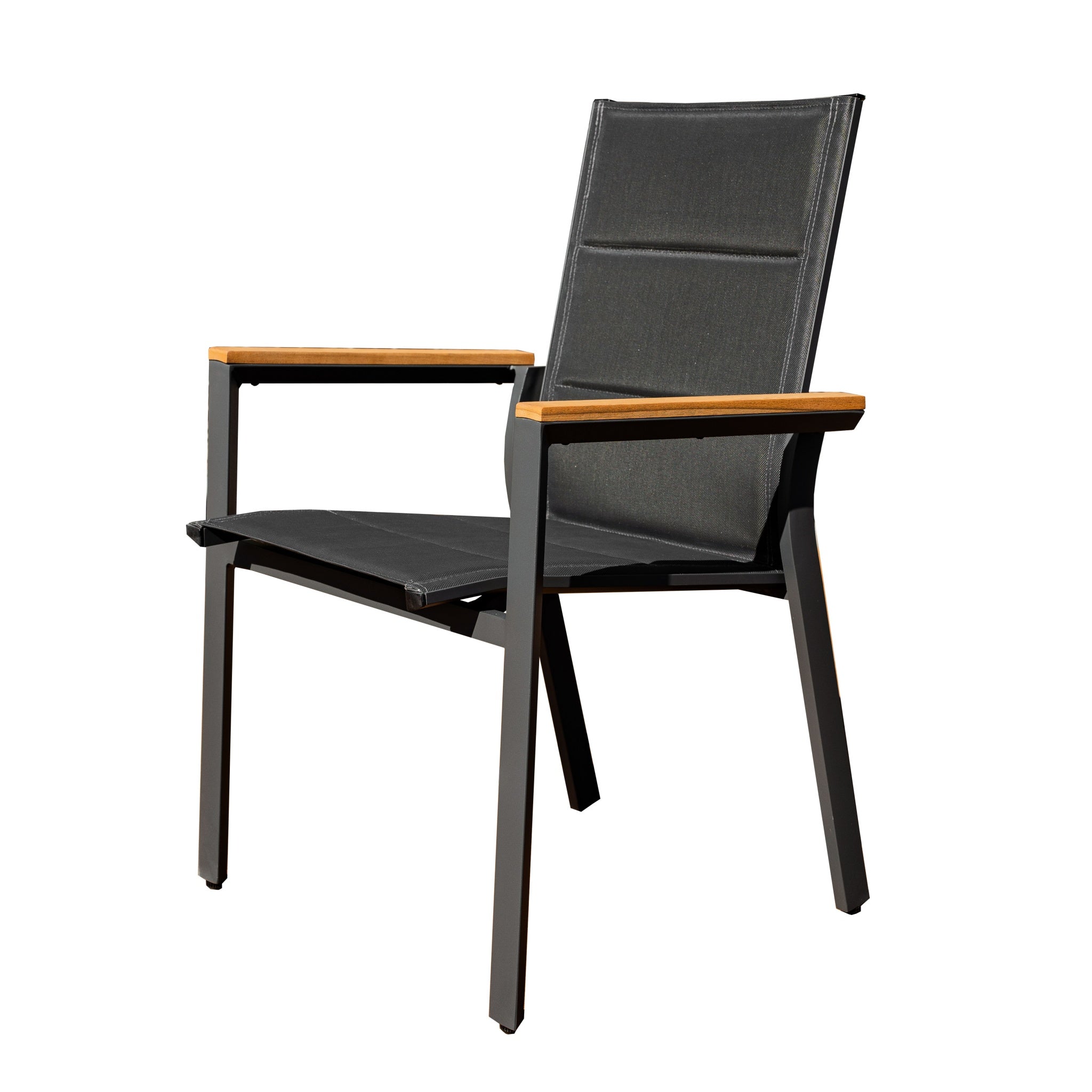 ARVE Dining Chair (Set of 2)